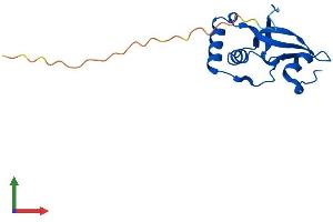 Protein Structure (PS) image for Sulfiredoxin 1 (SRX1) (AA 1-137) protein (His tag) (ABIN7546416)