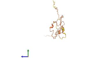 Protein Structure (PS) image for Sperm Mitochondria Associated Cysteine Rich Protein (SMCP) (AA 1-143) protein (His tag) (ABIN7562883)