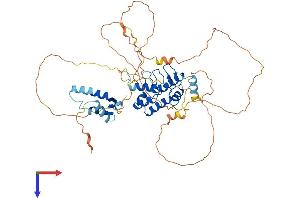 AlphaFold protein structure predicition of Human Recombinant SOWAHC Protein, UniprotID Q53LP3