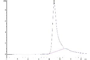 Size-exclusion chromatography-High Pressure Liquid Chromatography (SEC-HPLC) image for Tumor Necrosis Factor Receptor Superfamily, Member 17 (TNFRSF17) (AA 1-49) protein (His-Avi Tag,Biotin) (ABIN7273945)