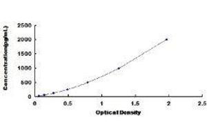 ELISA image for Natriuretic Peptide Type C (NPPC) ELISA Kit (ABIN416254)