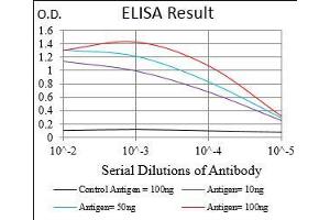 Black line: Control Antigen (100 ng), Purple line: Antigen(10 ng), Blue line: Antigen (50 ng), Red line: Antigen (100 ng), (DIS3L2 抗体  (AA 27-250))