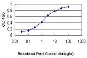 Detection limit for recombinant GST tagged RIOK3 is approximately 0. (RIOK3 抗体  (AA 411-516))