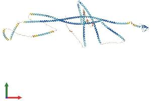 Protein Structure (PS) image for Ring Finger Protein 20 (RNF20) (AA 1-973) protein (His tag) (ABIN7563805)