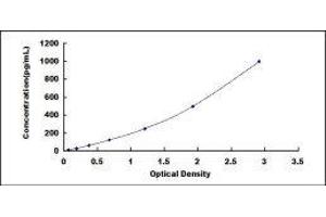 Cardiotrophin 1 (CTF1) ELISA Kit