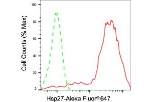 Flow cytometric analysis of Hsp27 expression in HaCaT cells using Hsp27 antibody (ABIN7798846), 1:2,000). (Recombinant HSP27 抗体)