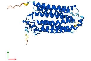 AlphaFold protein structure predicition of Human Recombinant PAQR5 Protein, UniprotID Q9NXK6