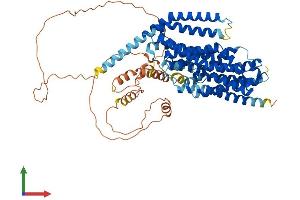 Protein Structure (PS) image for Solute Carrier Family 20 (Phosphate Transporter), Member 2 (SLC20A2) (AA 1-656) protein (His tag) (ABIN7564263)