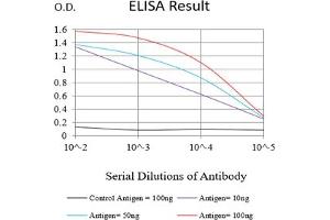 Black line: Control Antigen (100 ng),Purple line: Antigen (10 ng), Blue line: Antigen (50 ng), Red line:Antigen (100 ng) (SPA17 抗体  (AA 1-152))