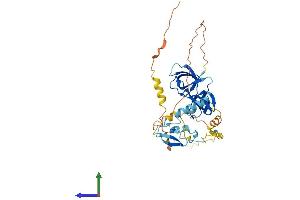 AlphaFold protein structure predicition of Human Recombinant STAC3 Protein, UniprotID Q96MF2