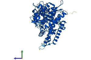 Protein Structure (PS) image for Cytochrome P450, Family 1, Subfamily A, Polypeptide 1 (CYP1A1) (AA 1-512) protein (His tag) (ABIN7546655)
