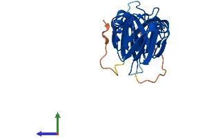 Protein Structure (PS) image for Crystallin, beta B3 (CRYbB3) (AA 1-211) protein (His tag) (ABIN7546801)