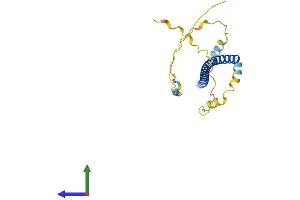 AlphaFold protein structure predicition of Mouse Recombinant Trnp1 Protein, UniprotID Q80ZI1 (TRNP1 Protein (AA 1-223) (His tag))