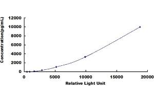 ELISA image for Chemokine (C-C Motif) Ligand 24 (CCL24) CLIA Kit (ABIN492088)