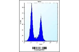 Flow cytometric analysis of Ramos cells (right histogram) compared to a negative control cell (left histogram). (UBN2 抗体  (N-Term))