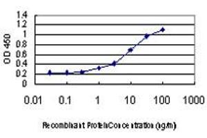 Detection limit for recombinant GST tagged GDI1 is approximately 0. (GDI1 抗体  (AA 1-447))