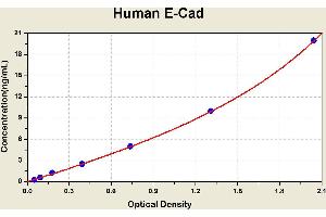 Diagramm of the ELISA kit to detect Human E-Cadwith the optical density on the x-axis and the concentration on the y-axis. (E-cadherin ELISA 试剂盒)
