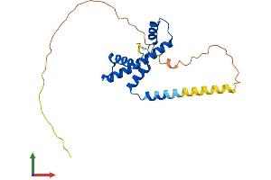 AlphaFold protein structure predicition of Mouse Recombinant Taf11 Protein, UniprotID Q99JX1
