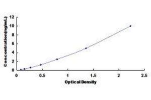 Cyclin-Dependent Kinase 8 (CDK8) ELISA Kit