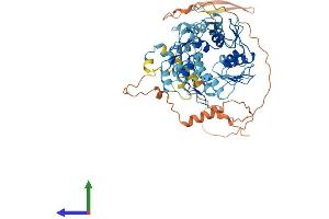 Protein Structure (PS) image for Zinc Finger Protein 879 (ZNF879) (AA 1-563) protein (His tag) (ABIN7545592)