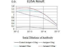 Black line: Control Antigen (100 ng),Purple line: Antigen (10 ng), Blue line: Antigen (50 ng), Red line:Antigen (100 ng) (PEPCK 抗体  (AA 44-175))