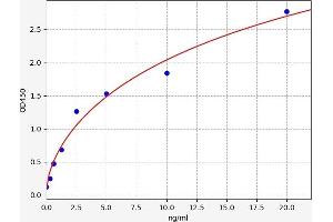 Mucosal Vascular Addressin Cell Adhesion Molecule 1 (MADCAM1) ELISA Kit