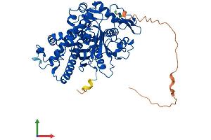 Protein Structure (PS) image for 3-Hydroxy-3-Methylglutaryl-CoA Synthase 1 (Soluble) (HMGCS1) (AA 1-520) protein (His tag) (ABIN7548285)