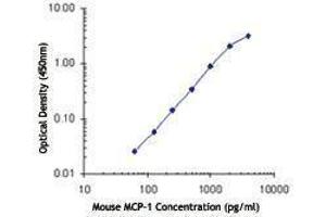 ELISA image for anti-Chemokine (C-C Motif) Ligand 2 (CCL2) antibody (ABIN2665265) (CCL2 抗体)
