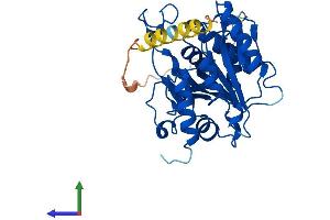 Protein Structure (PS) image for UDP-Gal:betaGlcNAc beta 1,3-Galactosyltransferase, Polypeptide 1 (B3GALT1) (AA 1-326) protein (His tag) (ABIN7552596)