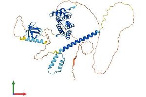 Protein Structure (PS) image for Signal Transducing Adaptor Molecule (SH3 Domain and ITAM Motif) 2 (STAM2) (AA 1-525) protein (His tag) (ABIN7555618)