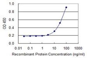 Detection limit for recombinant GST tagged WDR42A is 1 ng/ml as a capture antibody. (DCAF8 抗体  (AA 1-273))