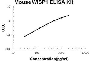Mouse WISP1/CCN4 PicoKine ELISA Kit standard curve (WISP1 ELISA 试剂盒)