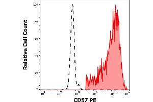 Flow Cytometry (FACS) image for anti-beta-1,3-Glucuronyltransferase 1 (Glucuronosyltransferase P) (B3GAT1) antibody (PE) (ABIN5665755)