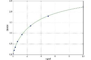 A typical standard curve (RGS1 ELISA 试剂盒)