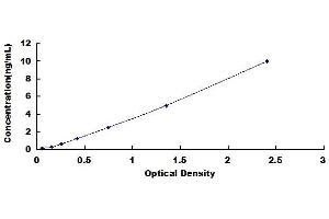 Typical standard curve (CXCR5 ELISA 试剂盒)