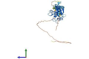 Protein Structure (PS) image for Ring Finger Protein 133 (RNF133) (AA 1-382) protein (His tag) (ABIN7556978)