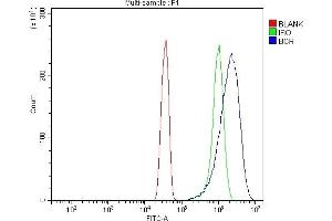 Flow Cytometry analysis of Hela cells using anti-BCR antibody (ABIN7601180).