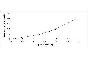 Typical standard curve (SPARCL1 ELISA 试剂盒)