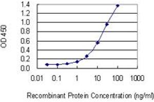 Detection limit for recombinant GST tagged HELLS is 0. (HELLS 抗体  (AA 1-348))