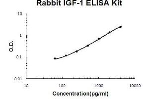 Rabbit IGF-1 PicoKine ELISA Kit standard curve (IGF1 ELISA 试剂盒)