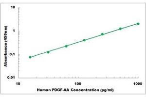 Representative Standard Curve (PDGF-AA Homodimer ELISA 试剂盒)