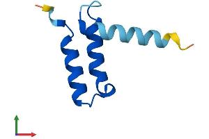 AlphaFold protein structure predicition of Mouse Recombinant Cmc4 Protein, UniprotID Q61908 (CMC4 Protein (AA 1-68) (Fc Tag))