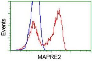 HEK293T cells transfected with either RC200259 overexpress plasmid (Red) or empty vector control plasmid (Blue) were immunostained by anti-MAPRE2 antibody (ABIN2454620), and then analyzed by flow cytometry. (MAPRE2 抗体)