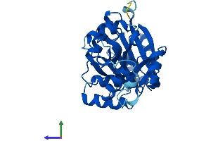 AlphaFold protein structure predicition of Human Recombinant GLYATL3 Protein, UniprotID Q5SZD4 (GLYATL3 Protein (AA 1-288) (His tag))