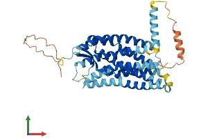 Protein Structure (PS) image for Chemokine (C-C Motif) Receptor 6 (CCR6) (AA 1-374) protein (His tag) (ABIN7553022)