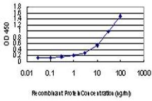 Detection limit for recombinant GST tagged TRIB1 is approximately 0. (TRIB1 抗体  (AA 91-191))