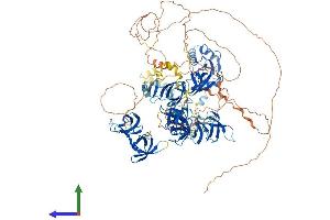 Protein Structure (PS) image for Transcription Elongation Factor SPT5 (SUPT5H) (AA 1-1082) protein (His tag) (ABIN7562495)
