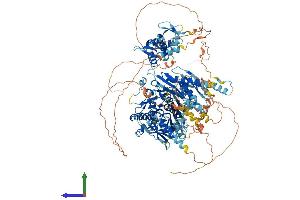 Protein Structure (PS) image for Adenosine Deaminase, RNA-Specific (ADAR) (AA 1-1178) protein (His tag) (ABIN7564907)
