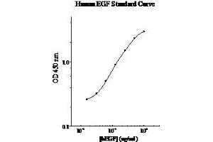 ELISA image for Epidermal Growth Factor (EGF) ELISA Kit (ABIN612686)