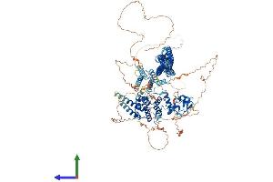 Protein Structure (PS) image for Histocompatibility (Minor) HA-1 (HMHA1) (AA 1-1136) protein (His tag) (ABIN7554116)